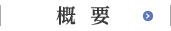 概要