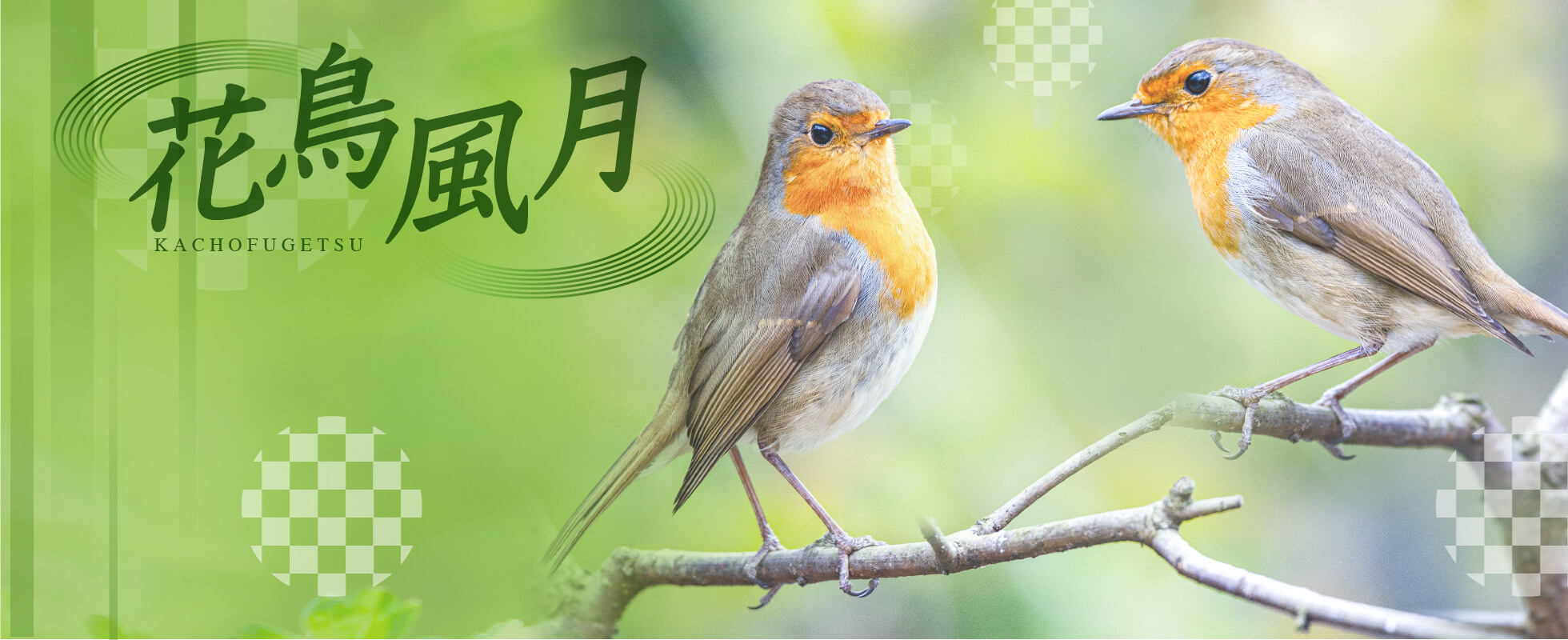 花鳥風月